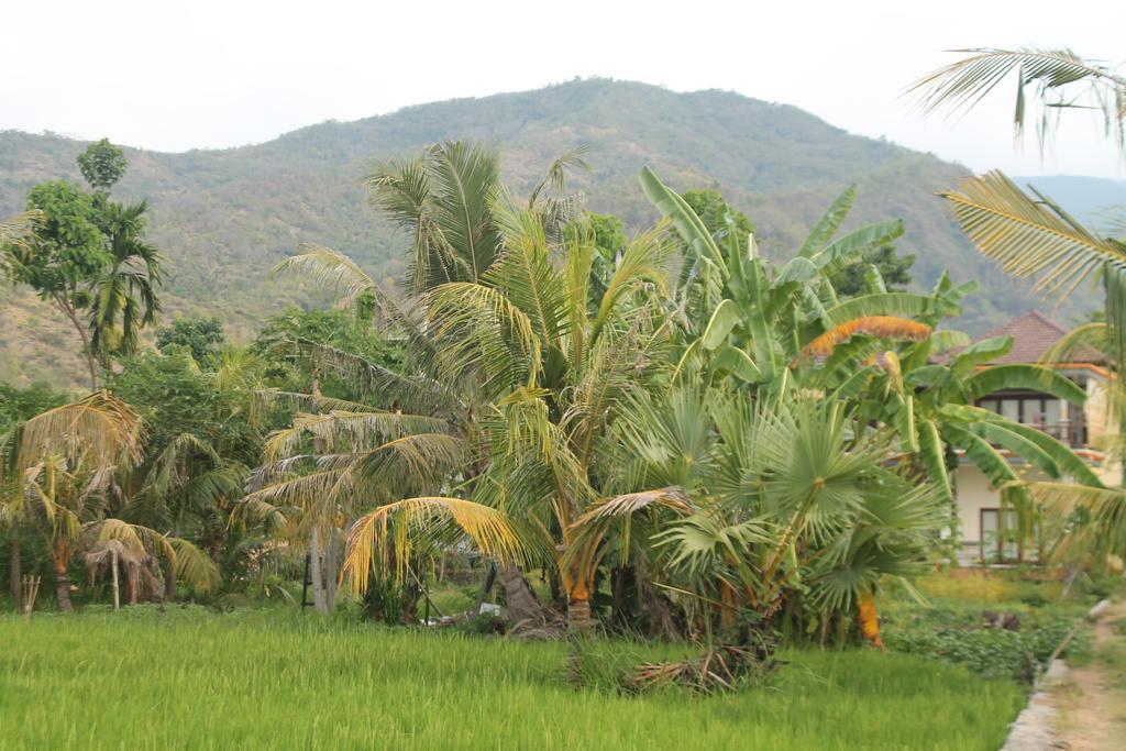Taman Padi Villa Amed Eksteriør bilde